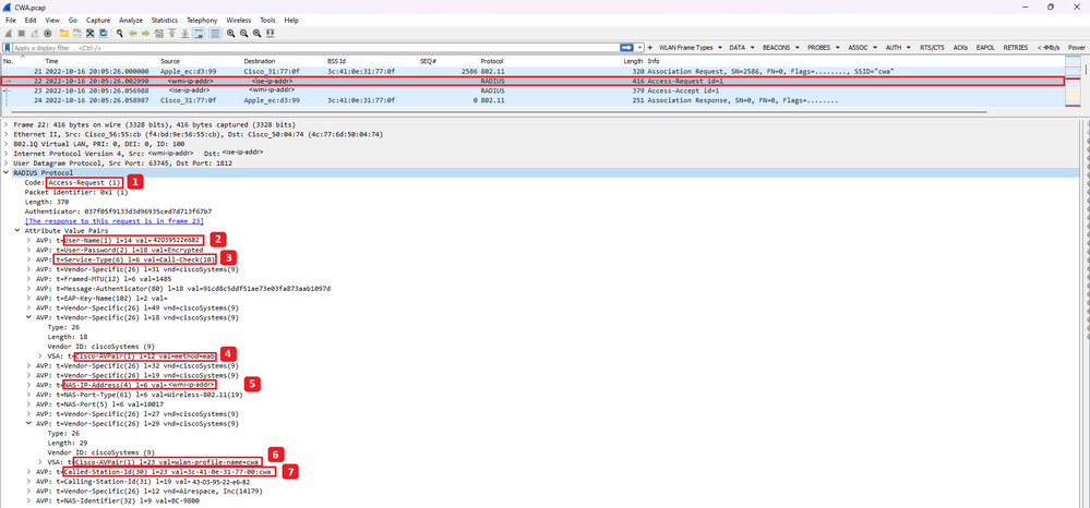 Analysis of Access-Request Packet