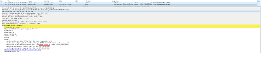 IP Address Resolved by DNS Server