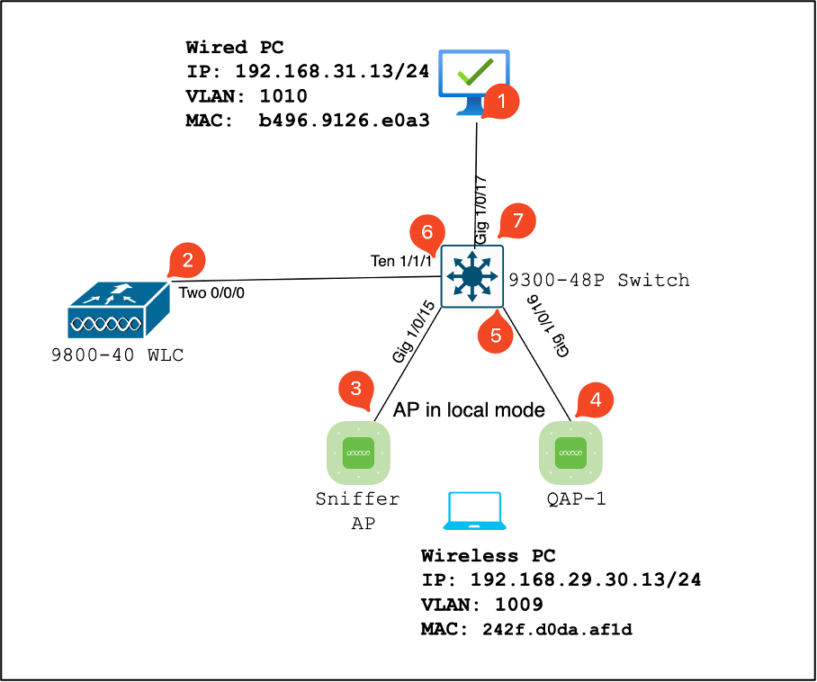 LAB Topology