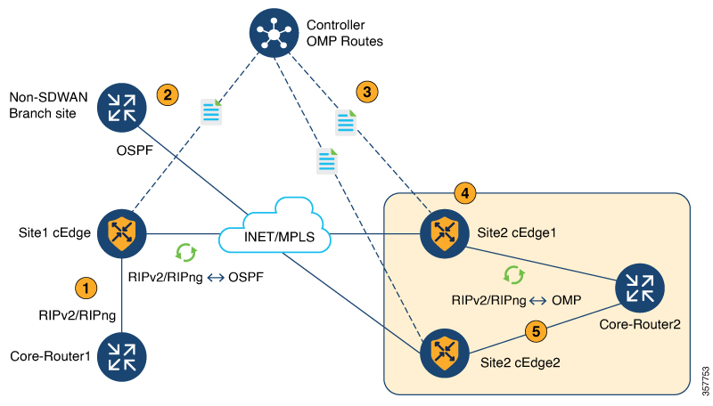 RIPv2/RIPng Topology