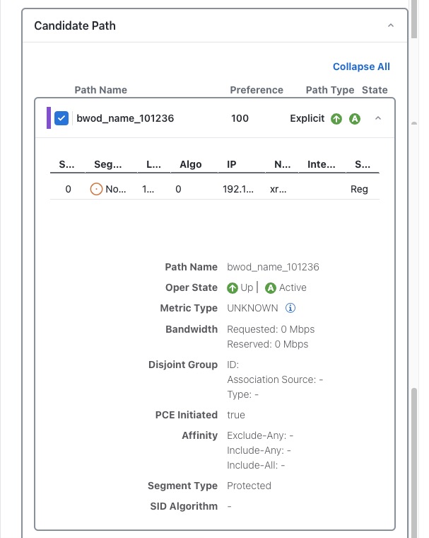 SR Policy Details - Candidate Path