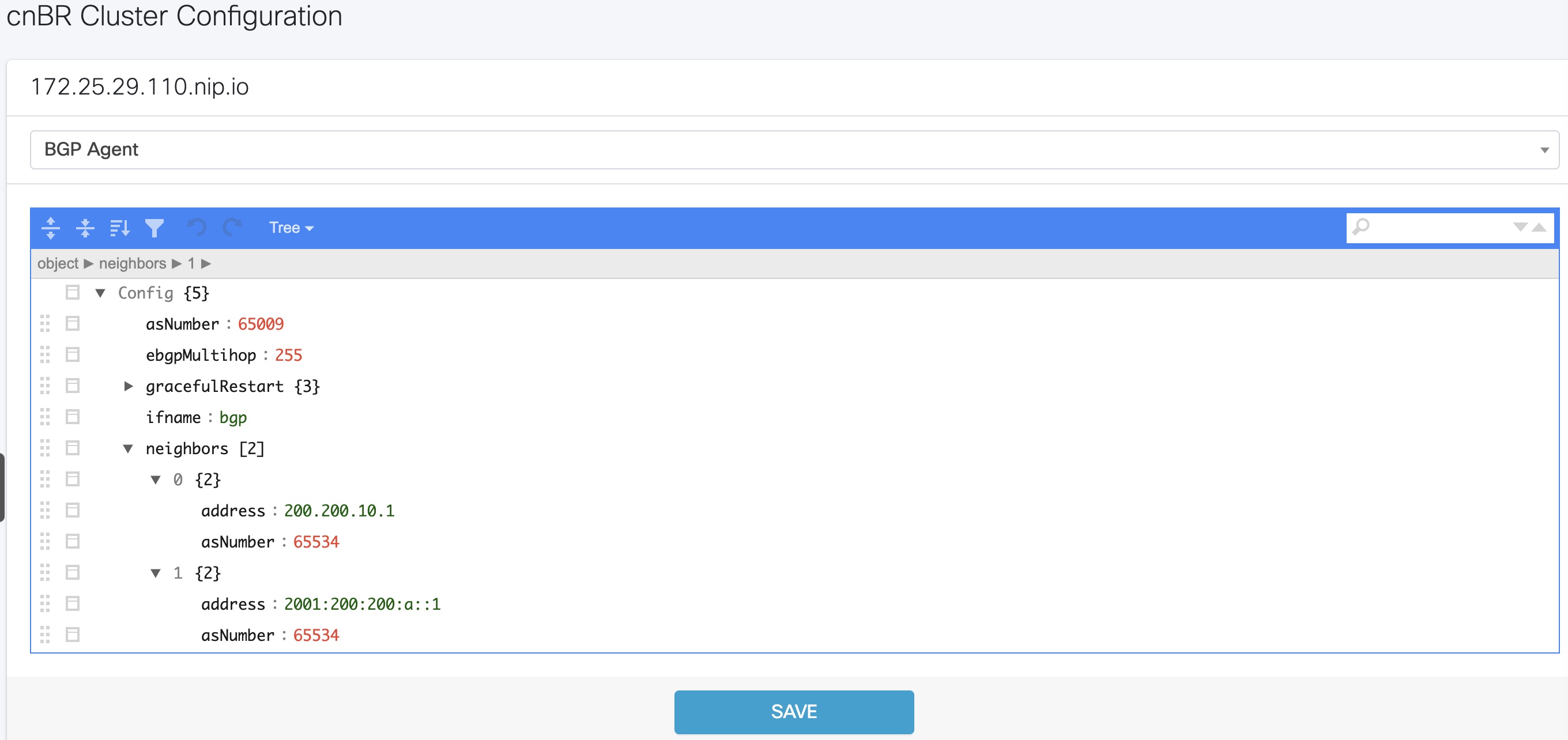 The screenshot displays the BGP Agent neighbors information