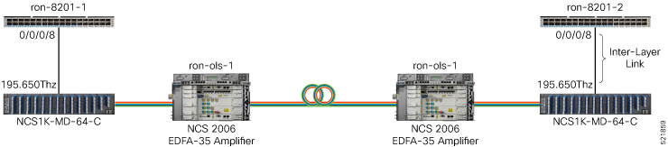 Cisco Routers (with ZR/ZR+ Optics) and NCS 2000 Devices